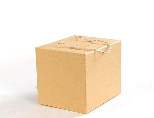 Empaquetage portatif de présents de cadeaux de boîte d'annonce imprimé par carton de CCNB